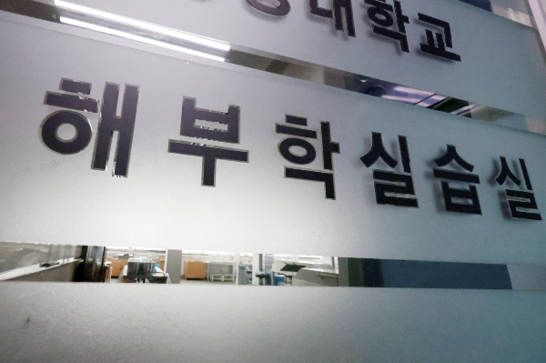 연세대학교 의과대학에서 헬스 트레이너와 물리치료사 등 비의료인을 대상으로 불법 '카데바'(해부용 시신) 해부 수업이 있었던 것으로 파악됐다. 사진은 서울 소재 한 의과대학의 해부학실습실. /사진=뉴스1