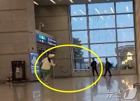 (보배드림 갈무리)