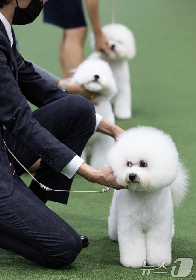 [사진] '떨리는 마음으로'