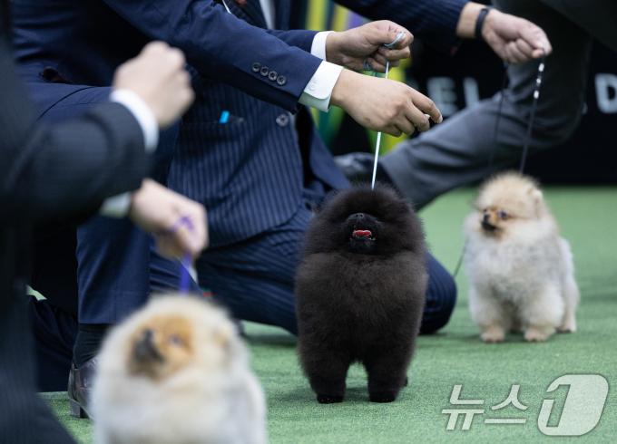 [사진] '집중'