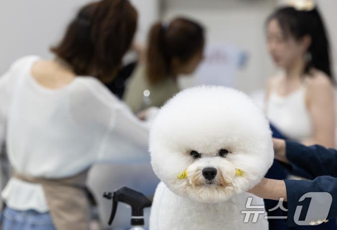 [사진] '오늘 저 어때요?'