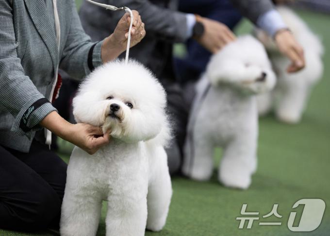 [사진] '두근두근'