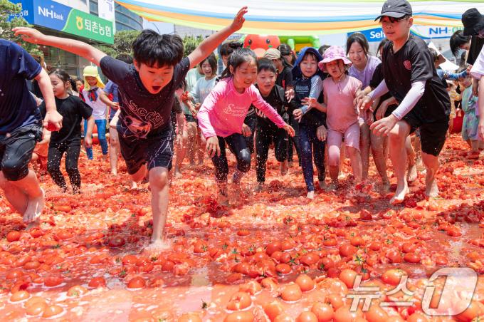 [사진] '토마토풀장으로'