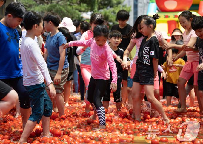 [사진] '황금토마토 찾기 준비'
