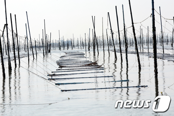                        전남 신안 압해도 지주식 김양식장 모습/뉴스1