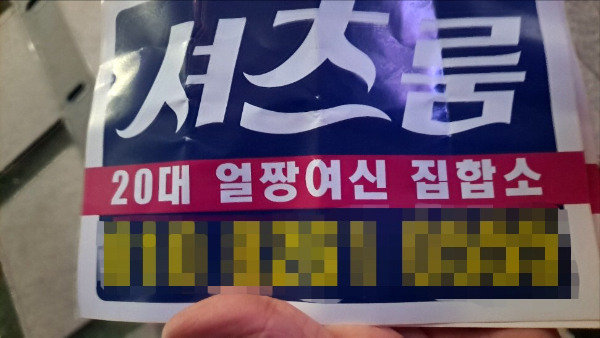 서울 강남 한복판에 청소년에게 유해한 내용이 담긴 불법 전단지를 뿌린 일당 5명이 18일 검찰에 넘겨졌다. 사진은 불법 전단지. /사진=뉴스1