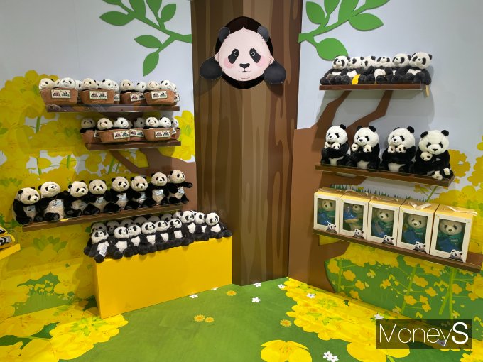 지난 21일 서울 여의도 더현대서울 5층 바오패밀리 팝업스토어 입구에 바오패밀리 인형이 가득 진열돼 있다. /사진=서지영 기자