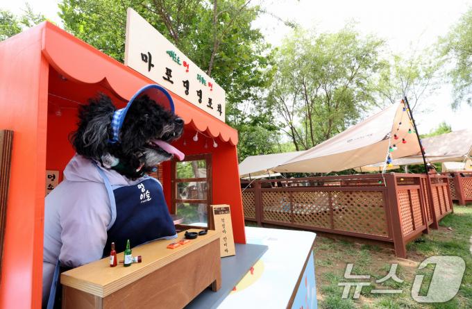[사진] 반려동물 캠핑장 속 댕댕포차