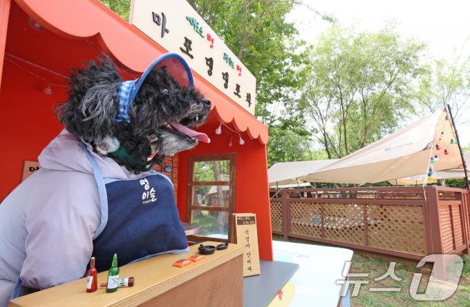 [사진] 댕댕포차 어서오개