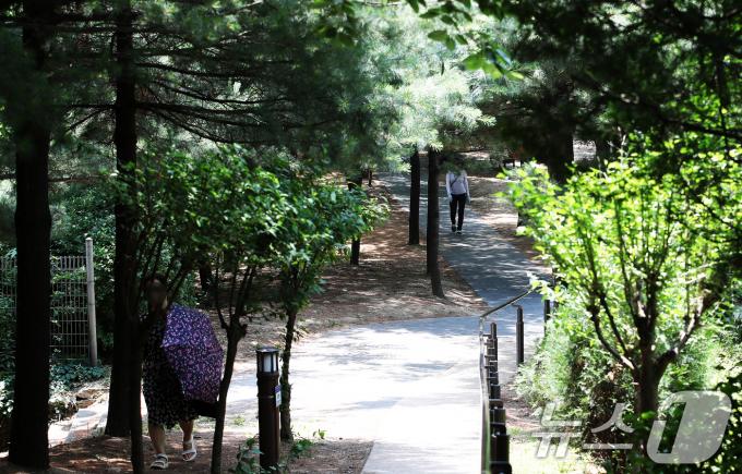 서울의 낮 최고기온이 33도까지 오르는 등 올 들어 가장 무더운 날씨를 보인 14일 서울 성동구 응봉근린공원에서 시민들이 따가운 햇볕을 피해 그늘을 따라 걷고 있다. 2024.6.14/뉴스1 ⓒ News1 오대일 기자