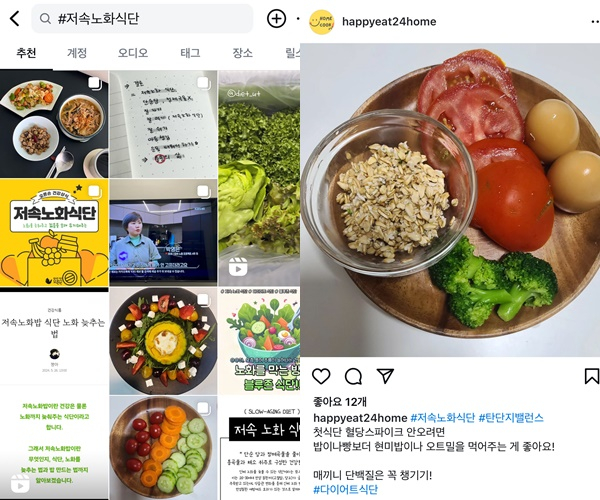 MZ세대가 자신의 SNS에 저속노화 식단을 공유하고 있다. 사진은 인스타그램에 게시된 저속노화 식단 게시물들(왼쪽)과 저속노화 식단을 공유한 A씨의 인스타그램. /사진= 왼쪽 인스타그램 화면, 오른쪽 happyat24home 인스타그램 게시물 화면