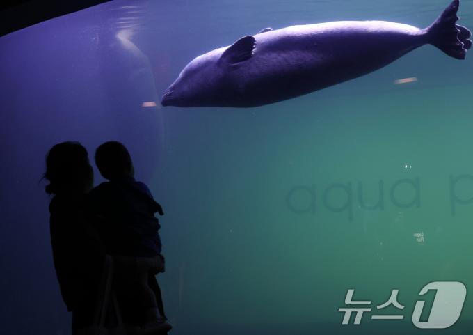 [사진] 아쿠아플라넷63, 오늘로 안녕