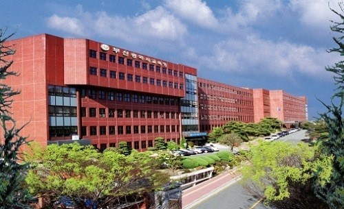 부산교육청 전경/사진=부산교육청