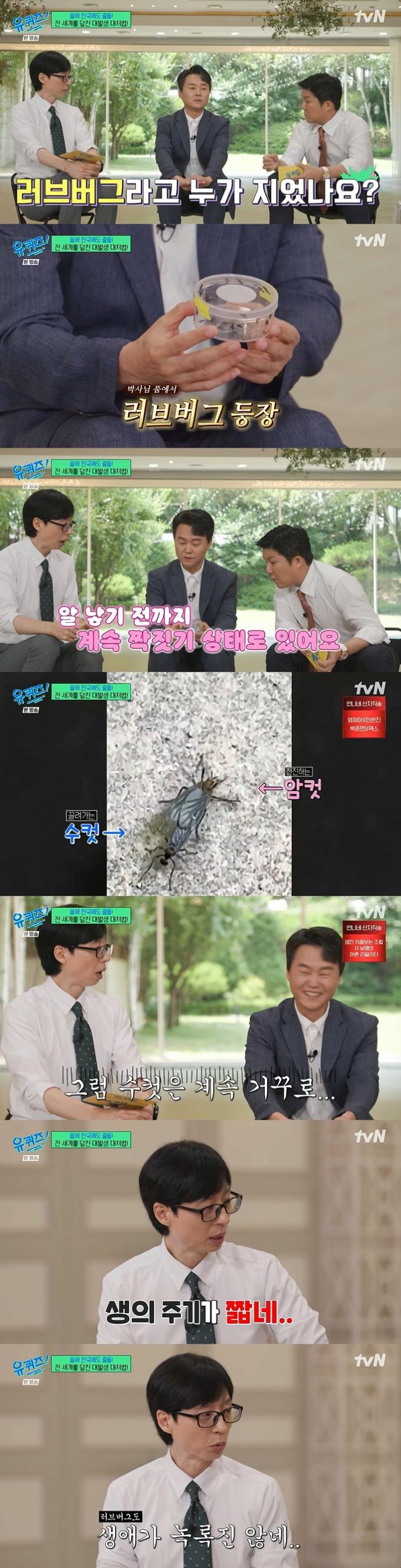 tvN '유 퀴즈 온 더 블럭' 캡처