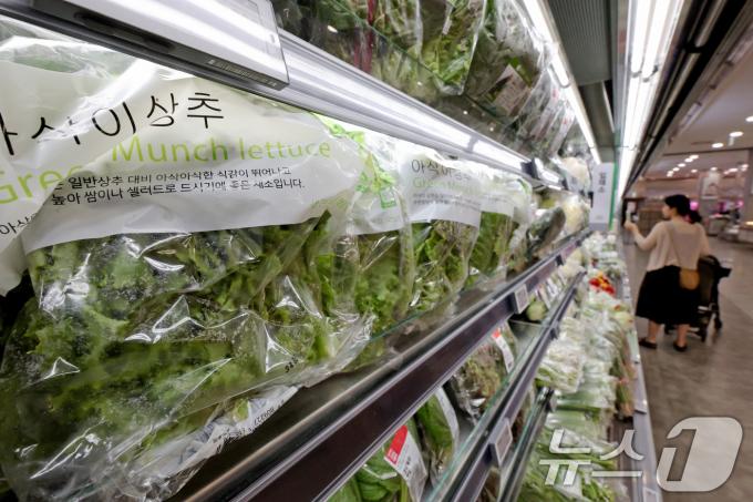 [사진] 장마철 채소값 올라 '장바구니 부담'