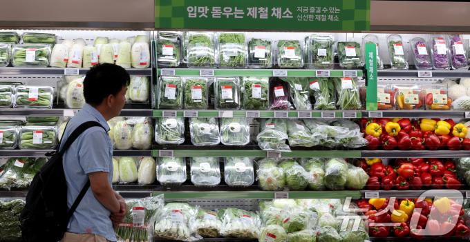 [사진] '시금치 지난달보다 65% 가격 비싸져'