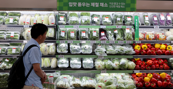 장마철이 다가오면서 쌈 채소 가격이 일주일 만에 급격히 올라 자영업자들의 고민이 깊어지고 있다. 사진은 이날 오전 서울의 한 대형마트를 찾은 시민이 채소류를 구매하고 있는 모습. /사진=뉴스1