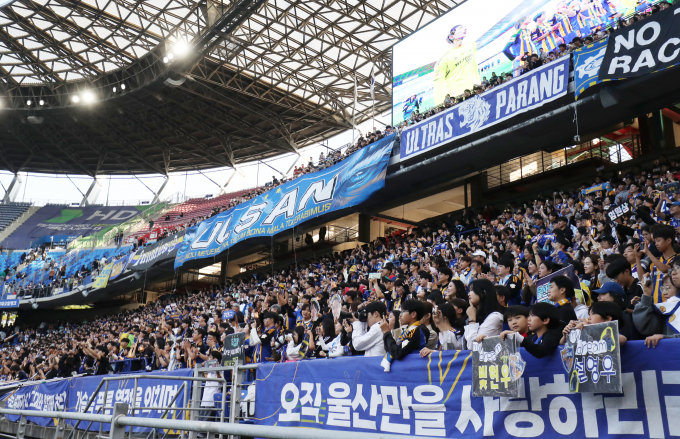 홍명보 감독이 축구 대표팀 사령탑에 오르자 K리그 울산 팬들이 대한축구협회를 규탄하는 입장문을 내놨다. /사진= 뉴스1