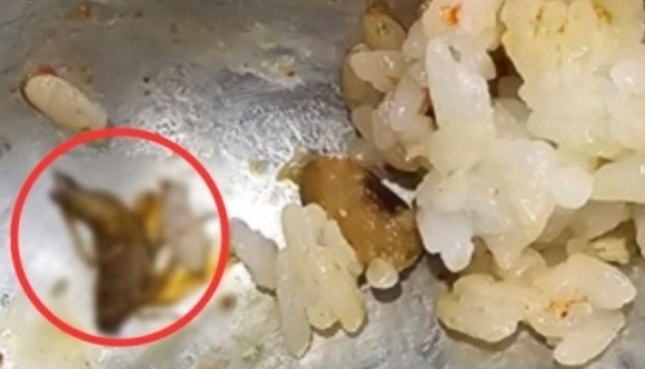 서울 유명 쇼핑몰 푸드코트의 음식에서 바퀴벌레가 나왔다는데 업주 측에서 어쩔 수 없다는 반응을 보였다는 사연이 공개됐다. 사진은 자영업자 커뮤니티 '아프니까 사장이다' 갈무리. /사진=아프니까 사장이다