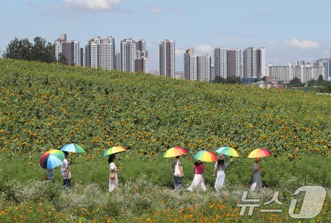 수도권 지역에 장맛비가 잠시 소강 상태를 보인 10일 경기 안성시 농협안성팜랜드에서 시민들이 모처럼 맑은 날씨를 즐기고 있다. 2024.7.10/뉴스1 ⓒ News1 김영운 기자