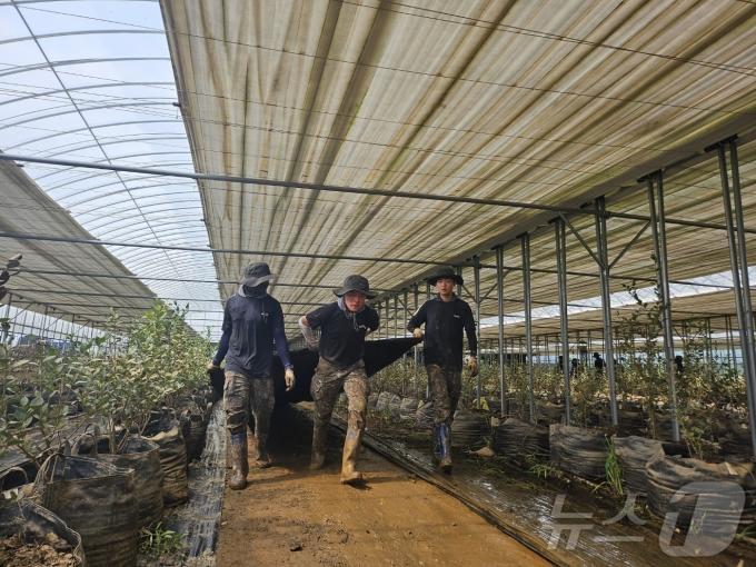 [사진] 호우피해농가서 퇴비나르는 국군장병들