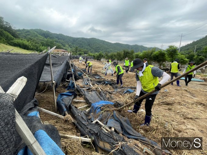 전남농협 직원들이 최근 집중호우로 큰 피해를 입은 충남 금산군 진산면의 한 인삼 재배밭을 찾아 수해복구작업을 하고 있/사진=농협전남본부 제공..
