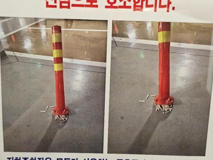 (보배드림)