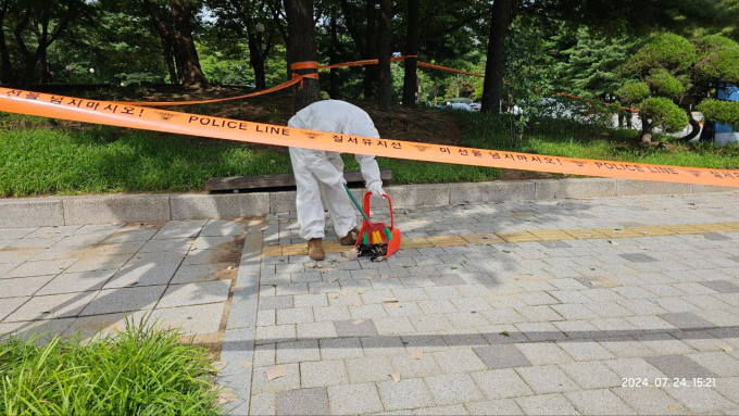 북한이 날린 오물 풍선이 서울 여의도 국회의사당 인근에 떨어졌다. 사진은 24일 오후 2시27분쯤 서울 여의도 국회 내 정입삼거리 일대에 북한이 보낸 오물 풍선으로 추정되는 유인물이 발견돼 군 관계자가 회수하는 모습. /사진=뉴시스(독자 제공) 