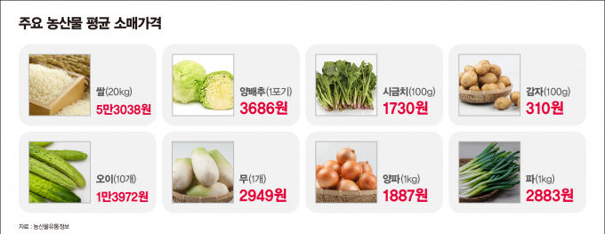 지난주와 달리 이번주는 채소가격 등락폭이 크지 않다. /그래픽=강지호 기자 