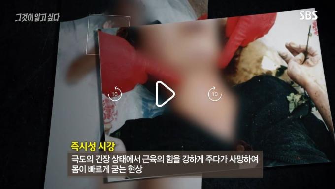 (SBS '그것이 알고 싶다')