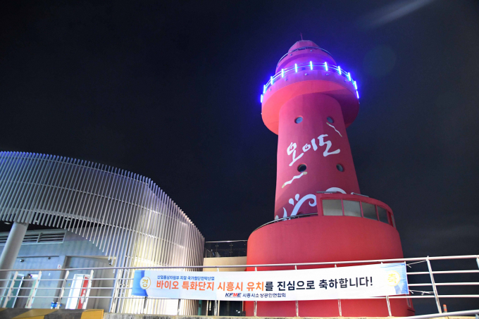 반짝이는 여름밤 낭만 가득한 오이도 모습. /사진제공=시흥시