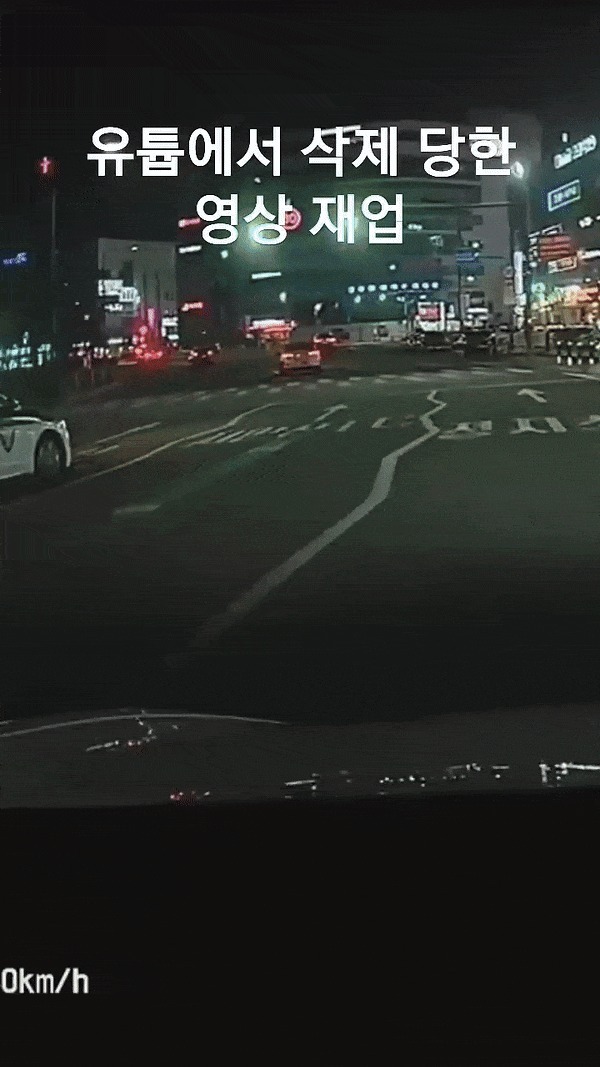 ('테슬라마이노')