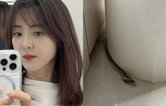 배우 박은혜가 집에서 뱀 허물을 발견했다고 밝혔다. /사진=박은혜 인스타그램