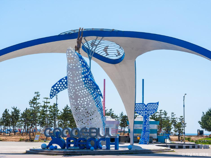 경북 영덕군은 바다와 숲 모두를 즐길 수 있어 가족들과 함께 여름 여행을 떠나기 좋은 장소다. 사진은 고래불해수욕장. /사진=한국관광공사