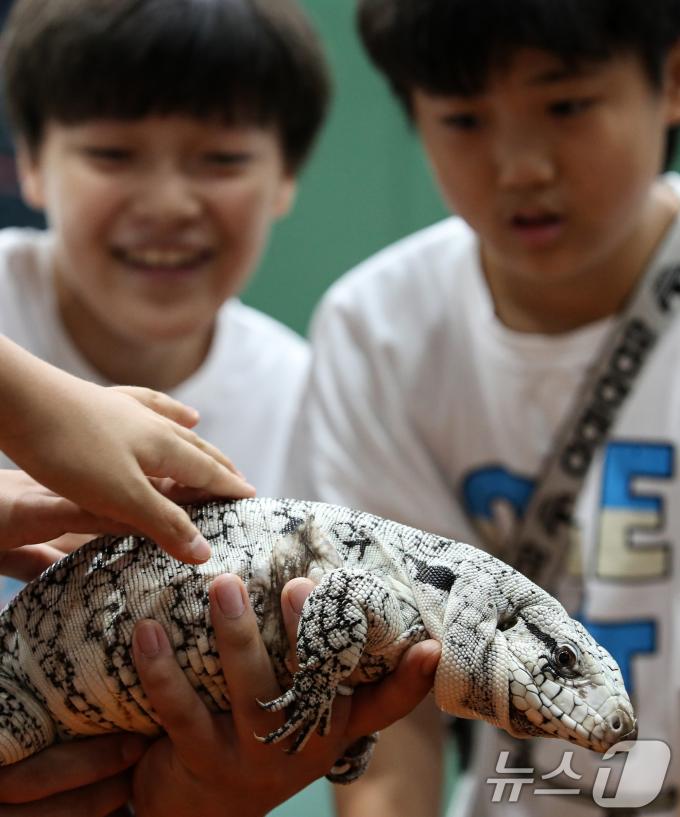 [사진] 시선 사로잡는 도마뱀