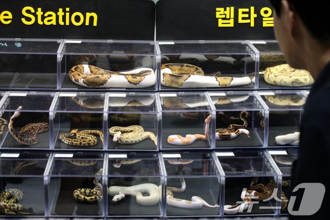 [사진] '형형색색, 알록달록'