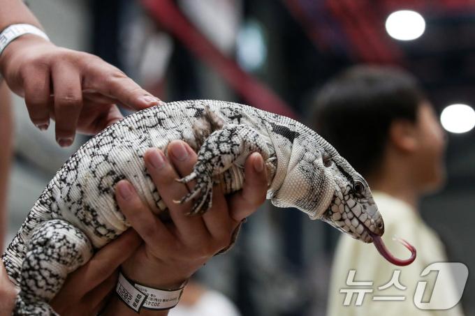 [사진] 매력 뽐내는 도마뱀