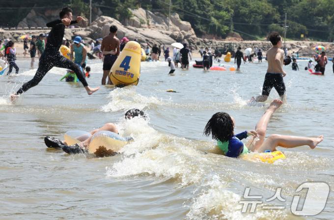 [사진] 참을 수 없는 더위