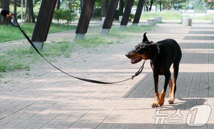 [사진] 내일부터 동물등록 자진신고