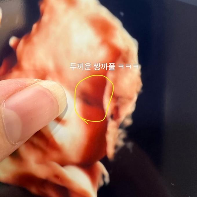 (박수홍, 김다예 부부 인스타그램)