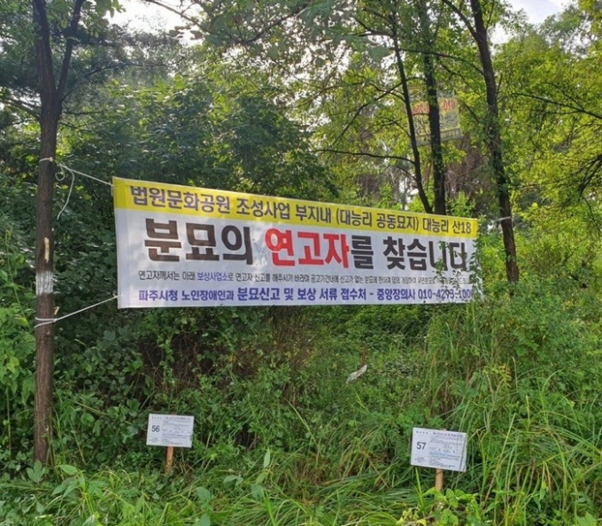 파주시는 연고자 없이 장기간 방치된 무연분묘 홍보에 나서고 있다. / 사진제공=파주시