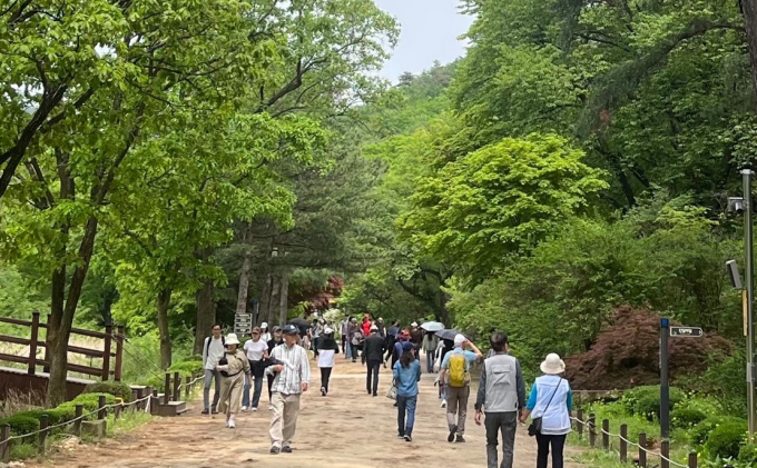 오는 21일부터 9일 동안 한시적으로 개방하는 안양시 만안구의 서울대 관악수목원 모습. 사진제공=안양시 
