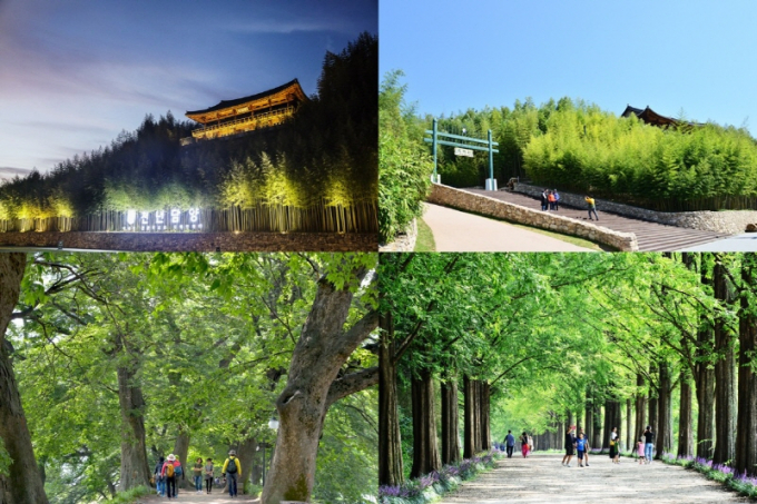 죽녹원(위쪽), 관방제림(아래 왼쪽), 메타세쿼이아 가로수길(아래 오른쪽)./사진=담양군