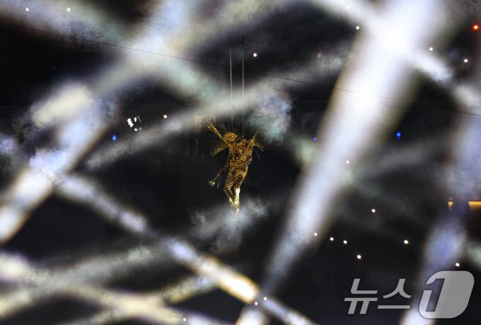 [사진] 폐막식장 향하는 골든 보이저