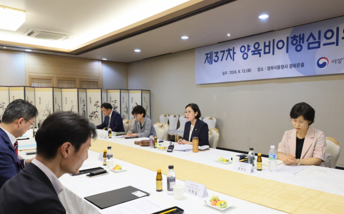 양육비를 제공하지 않은 부모들이 출국금지·면허정지 등의 제재를 받는다. 사진은 13일 오후 서울 종로구 정부서울청사에서 열린 제37차 양육비이행심의위원회 회의 모습. /사진=뉴스1(여성가족부 제공)