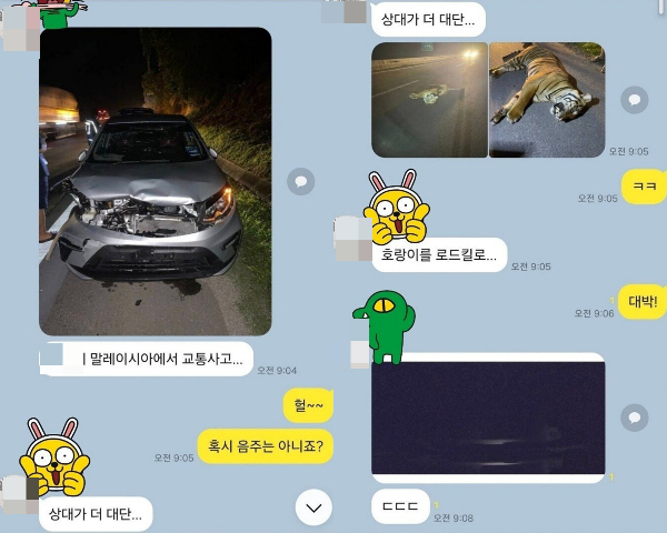 말레이시아를 여행 중이던 한 한국인 관광객이 운전 중 호랑이를 친 영상과 사진을 인증해 온라인상에서 큰 관심을 끌고 있다. /사진=온라인 커뮤니티 갈무리