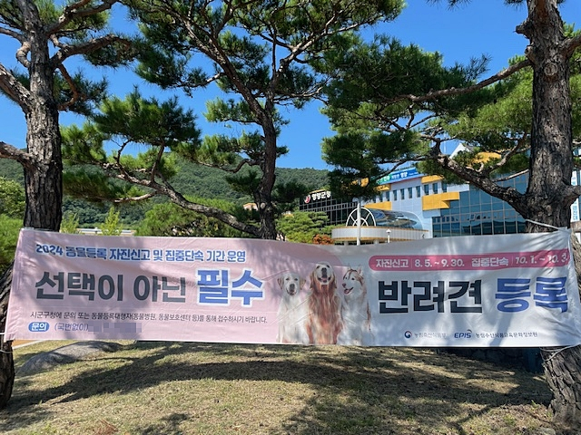 영양군청 인근에 동물등록 자진신고 기간 운영 홍보 현수막이 내걸렸다. 군은 오는 9월 30일까지 반려동물 자진신고 등록 기간을 운영한다./사진제공=경북 영양군