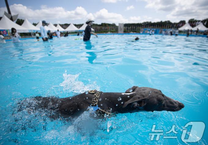 [사진] '누가누가 빠를까'