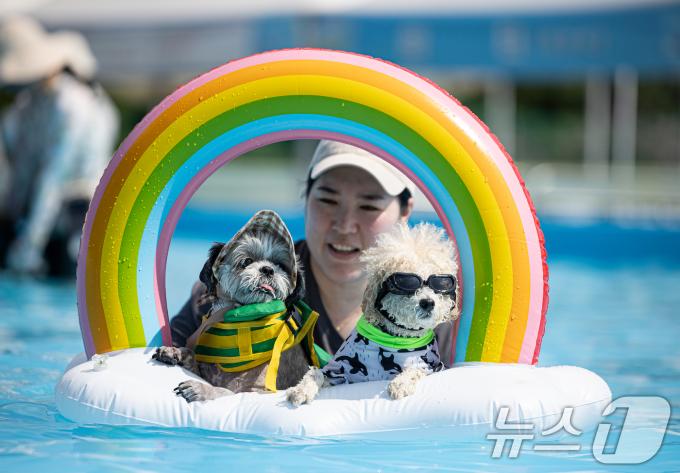 [사진] 댕댕이와 함께라면