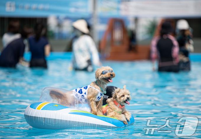[사진] '위풍당당'
